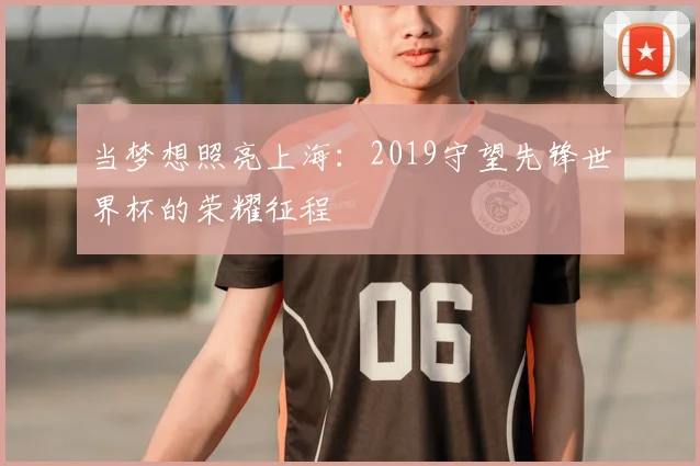 当梦想照亮上海：2019守望先锋世界杯的荣耀征程