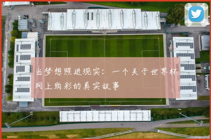 当梦想照进现实：一个关于世界杯网上购彩的真实故事