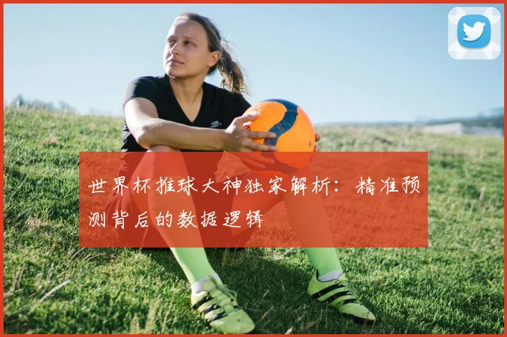 世界杯推球大神独家解析：精准预测背后的数据逻辑