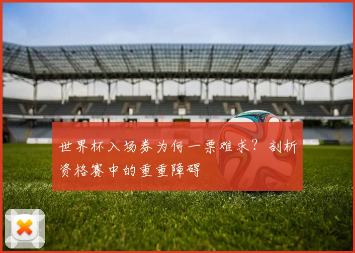世界杯入场券为何一票难求？剖析资格赛中的重重障碍